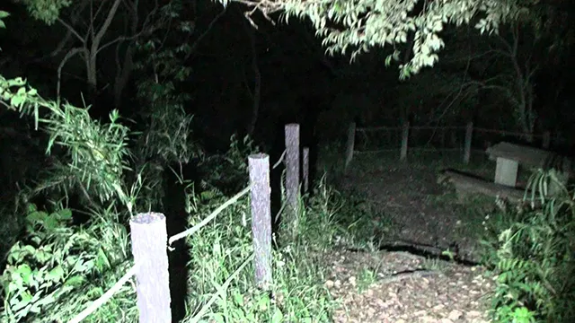 雄蛇ヶ池：大網白里に響く女性のすすり泣き