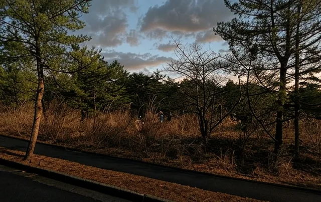 葛岡霊園の心霊噂：塔にまつわる恐怖の謎と墓地に漂う不気味なサイレンの真相