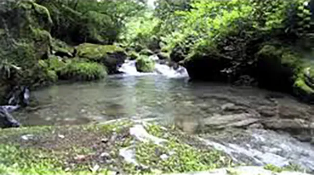 橋立川キャンプ場:秩父の夜に囁かれる子供の心霊噂の真相