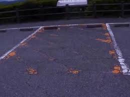 21世紀の森 駐車場