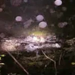 花魁淵の心霊噂：55人の遊女の霊と滝に響く叫び声の真相