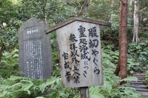 鎌倉の腹切りやぐら：北条氏と870名の自害が呼ぶ怪奇現象と怨嗟