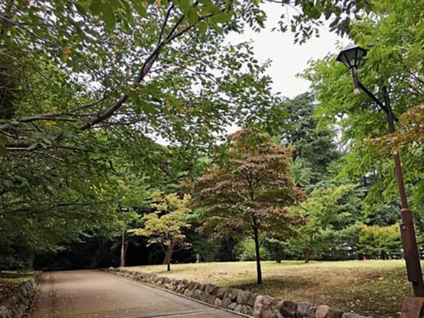 東京都 心霊スポット 江古田の森公園