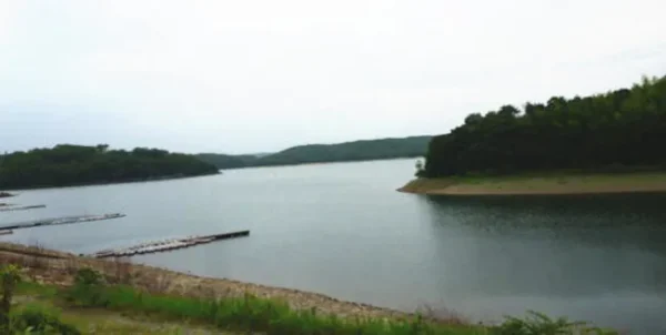 入鹿池：犬山市の夜に漂う青白い霊と殺人事件の闇