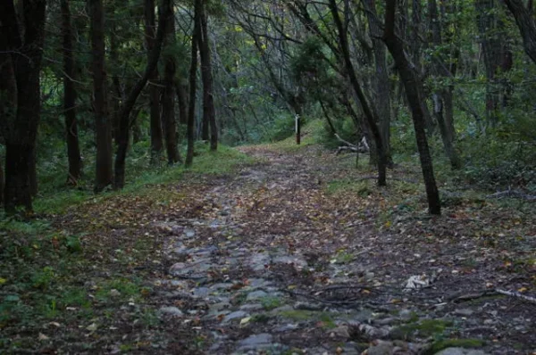 滝沢峠：赤い三輪車と霊の伝承