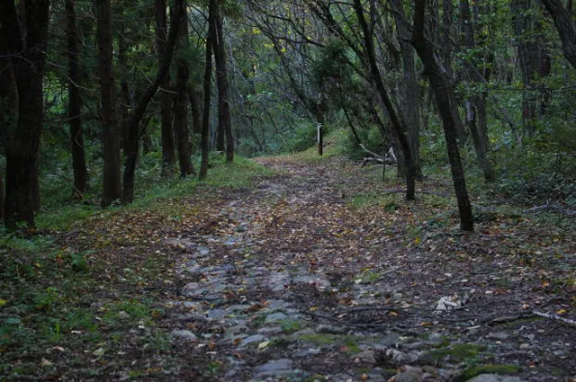 滝沢峠：赤い三輪車と霊の伝承