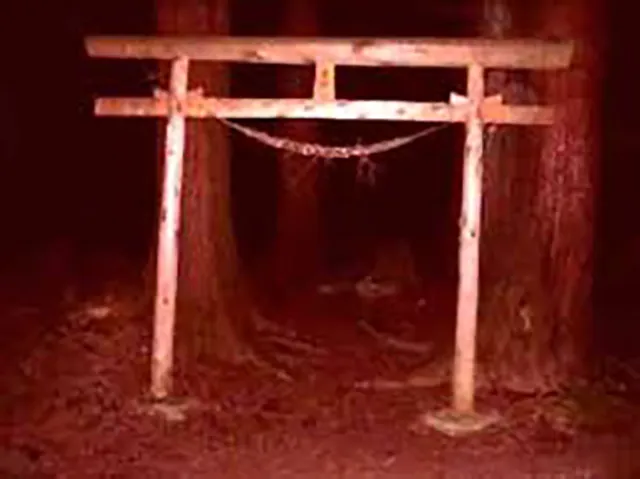 杉沢村:青森県の地図から消えた廃村に潜む皆殺し事件と実在の謎