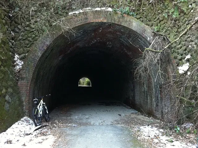 畑トンネル:人面犬と霊の顔が浮かぶ闇