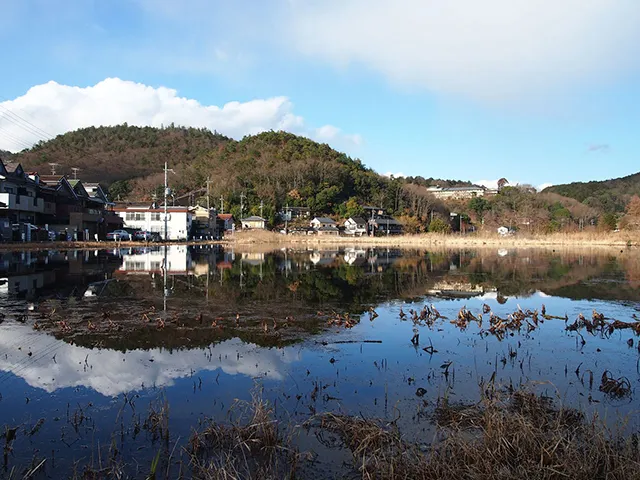 深泥池：幽霊タクシー発祥地に潜む幽霊騒動と水難事故にまつわる呪いの池伝説