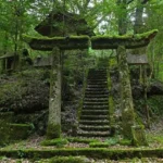 廃神社でヤバいサイン発見!?石の鳥居が真っ二つ割れる謎！全国100事例完全解剖