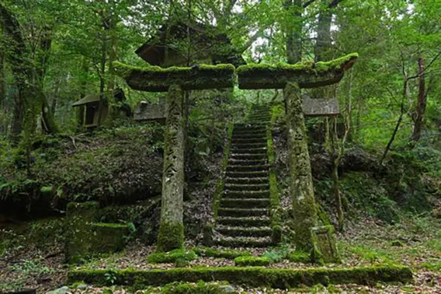 廃神社でヤバいサイン発見!?石の鳥居が真っ二つ割れる謎！全国100事例完全解剖