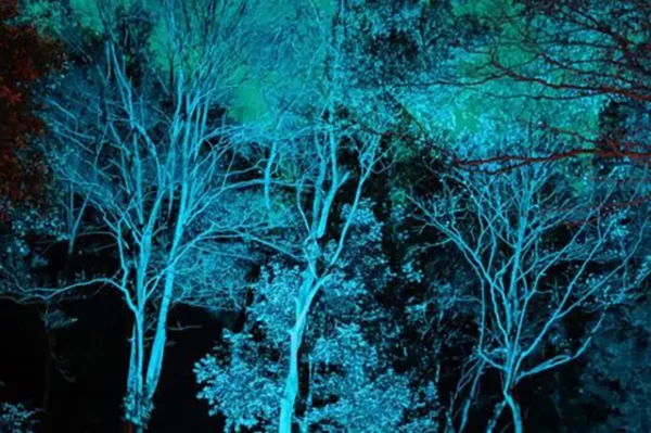 心霊スポットが育んだ日本のホラー文化：伝統から現代観光まで