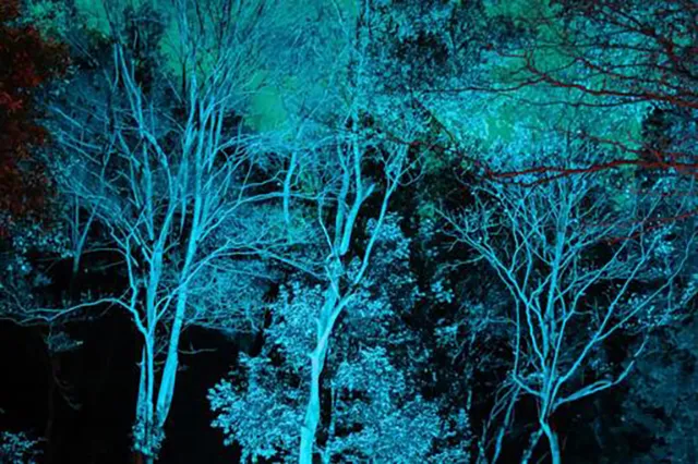 心霊スポットが育んだ日本のホラー文化：伝統から現代観光まで