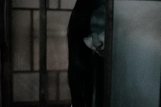 心霊動画の科学的分析法：本物判別5基準・全国50事例・錯覚メカニズムを徹底解析