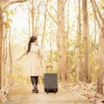 幽霊と旅する夜：怪奇ロードトリップの秘訣