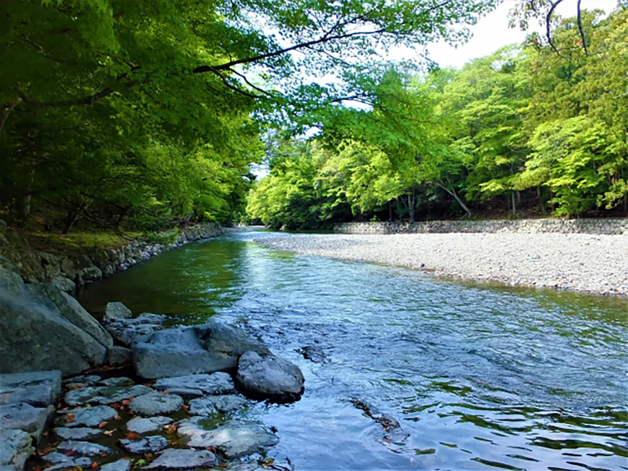 伊勢神宮 禁足地「神宮の森」と五十鈴川