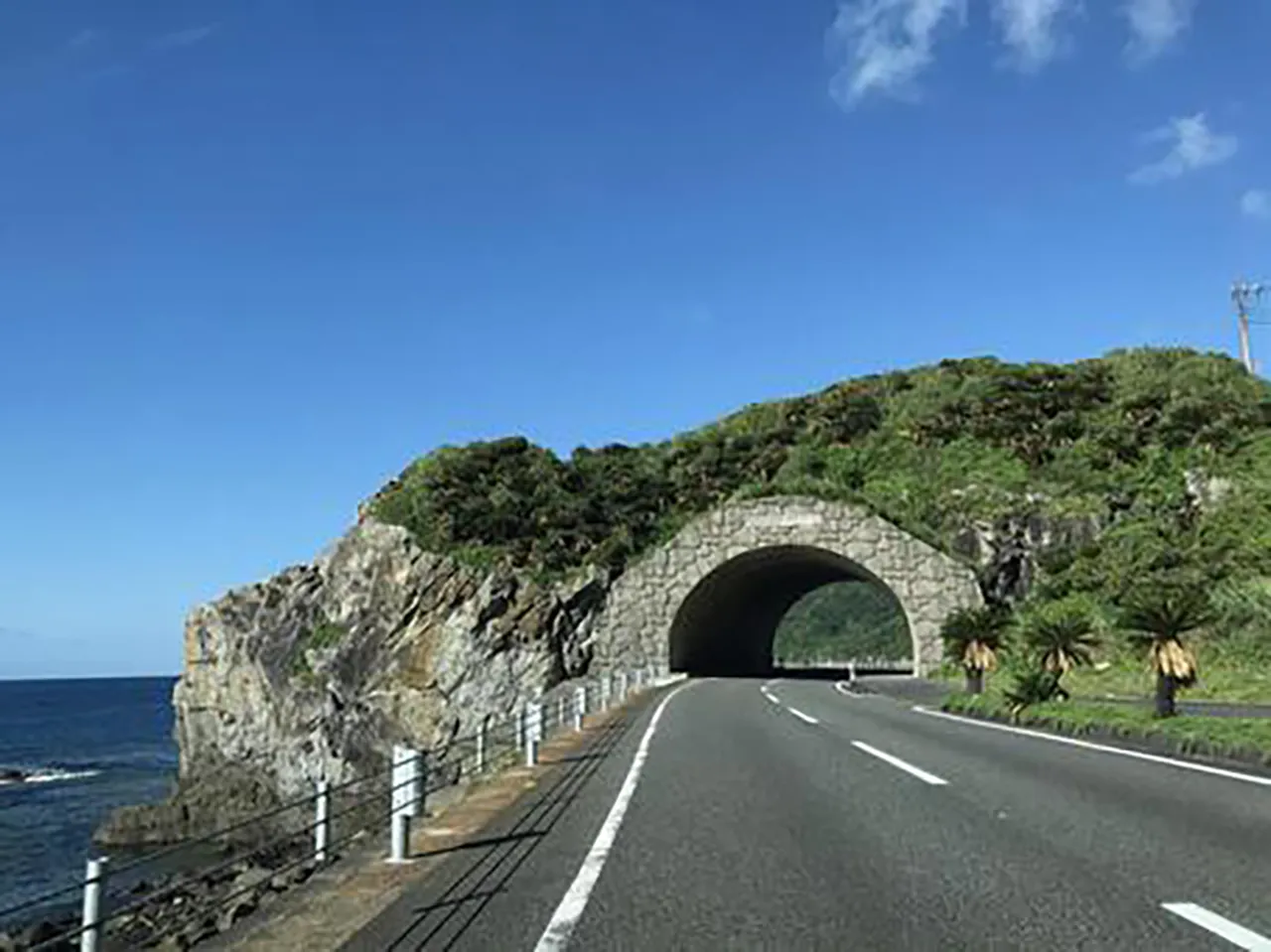 奄美大島 かがん花トンネル