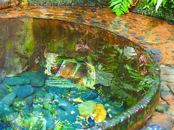 東京都 心霊スポット 明治神宮の清正井（きよまさのいど）