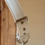 幽霊をペットにする方法：魂をリードで繋ぐ育成術