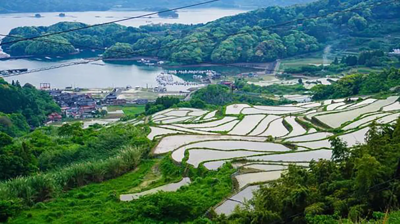 佐賀県の心霊スポット特集：肥前の田園に潜む闇の影