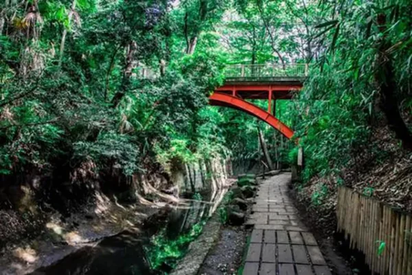 等々力渓谷の霊影と怪奇：古来の怪現象の真相