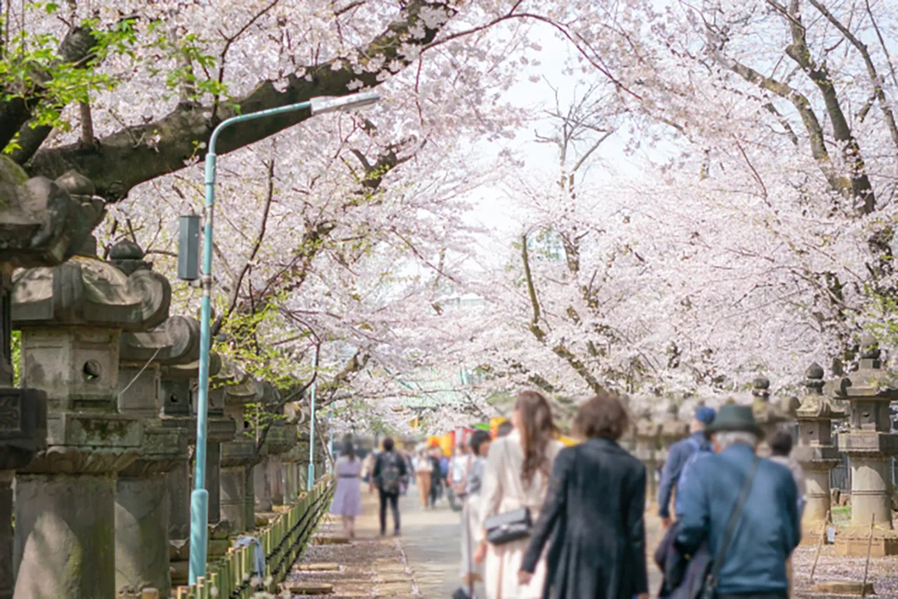 2.上野公園（東京都台東区）- 都会の桜と幽霊の影