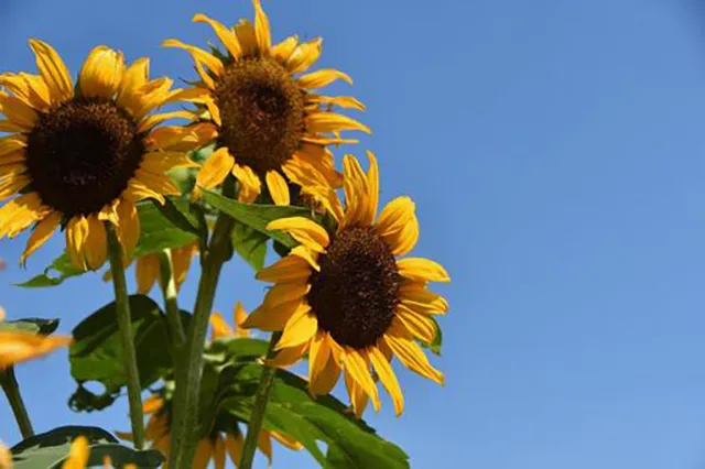 子供の頃に霊と遭遇!? 怖くて不思議な懐かし体験エピソード集