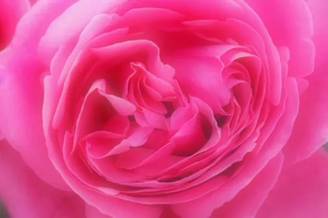 エロいのに怖い!? 怖いのにエロい!? 奇妙な心霊体験エピソード集