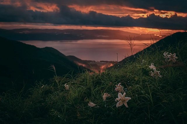 御霊櫃峠:古戦場の霊が漂う夜と消えた影