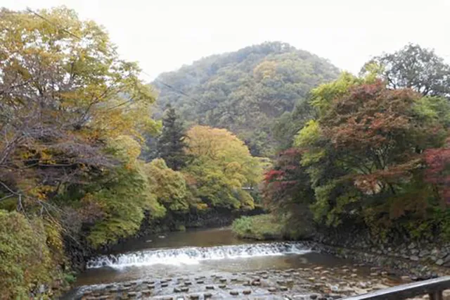 八瀬遊歩道・廃神社：廃墟の霊が漂う夜と消えた影