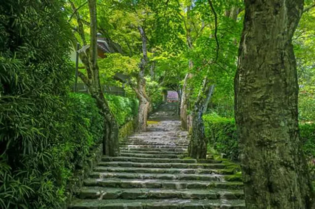 寂光院裏参道：戦国戦死者の霊と森の闇の恐怖