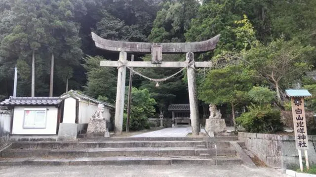 白山比咩神社の奥参道:白山市の霊影と夜の謎の光が漂う闇