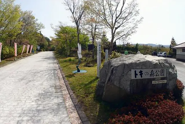 トキの森公園:佐渡島の夜の森に響く霊気と謎の囁き