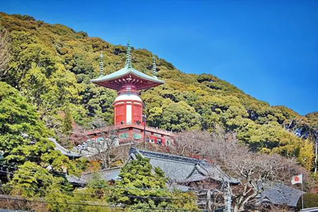 薬王寺：美波町の聖地に響く夜の参道と霊気の囁き