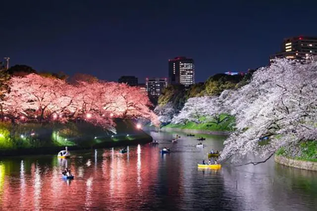 千鳥ヶ淵:東京皇居外苑に彷徨う戦没者の霊