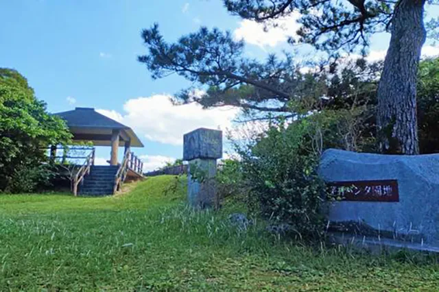 茅打ちバンタ:国頭村の絶景と不思議な心霊伝説