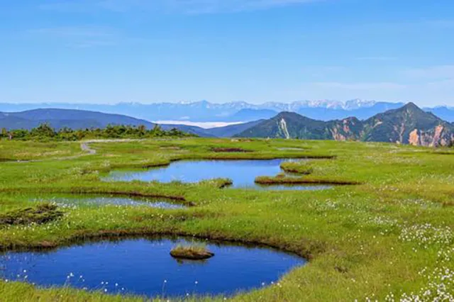苗場山旧登山道:夜の霊と謎の音