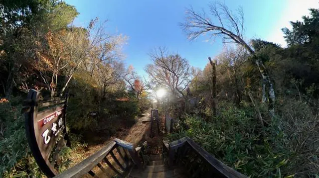 乙女峠:箱根の夜に現れる女性の霊
