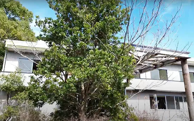 ホテル・シャングリ・ラ：美波町廃ホテルの霊と心霊現象の真相