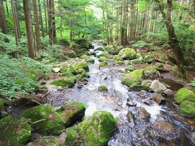 滝川渓谷の怪:女性の霊と事故の闇