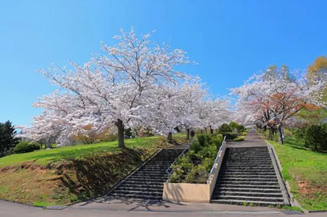 手宮公園:子供の霊と謎の笑い声