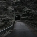 海沢隧道:奥多摩のレンガ廃隧道に残る心霊現象の真相