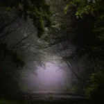 霧の山道で揺れる人影と幽霊：気象学が暴く日本の霧深い場所で起きる不気味な錯覚！