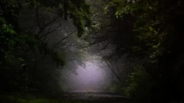 霧の山道で揺れる人影と幽霊：気象学が暴く日本の霧深い場所で起きる不気味な錯覚！