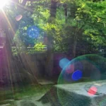 心霊写真のトリック：フラッシュで映る幽霊の顔やオーブや影はレンズフレア？