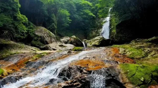 笹の滝：十津川の32m滝に漂う夜の恐怖と霊的気配の真相