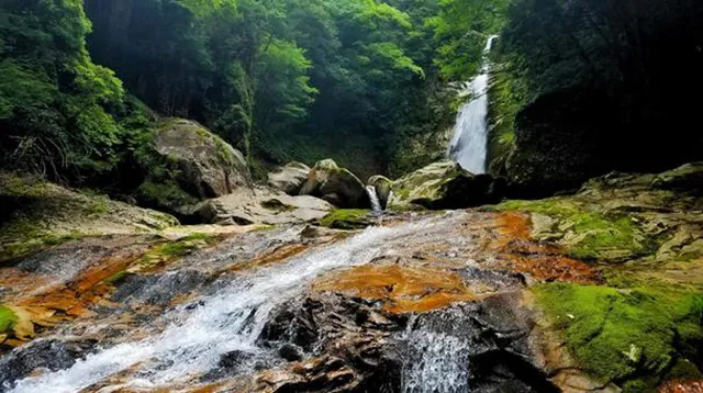 笹の滝:十津川の32m滝に漂う夜の恐怖と霊的気配の真相