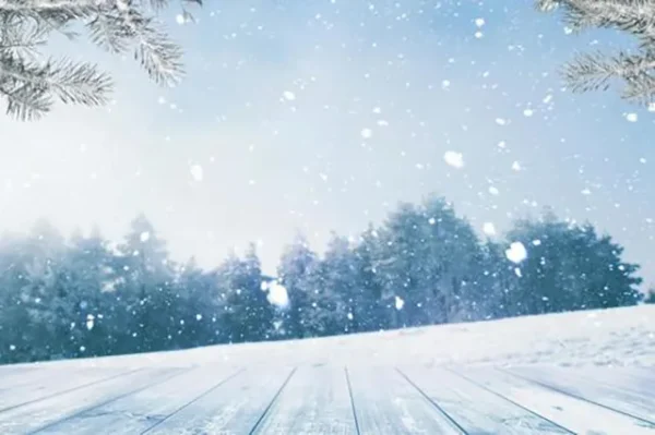 雪国の心霊スポット！冬の北海道・東北で霊が彷徨う！雪と怨霊のゾッとする真相！