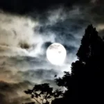 心霊スポットの危険信号：闇に潜む5つのヤバいサイン