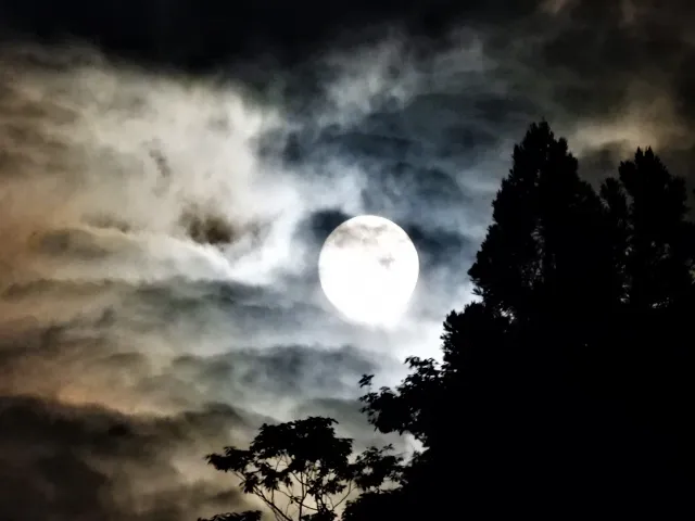 心霊スポットの危険信号：闇に潜む5つのヤバいサイン